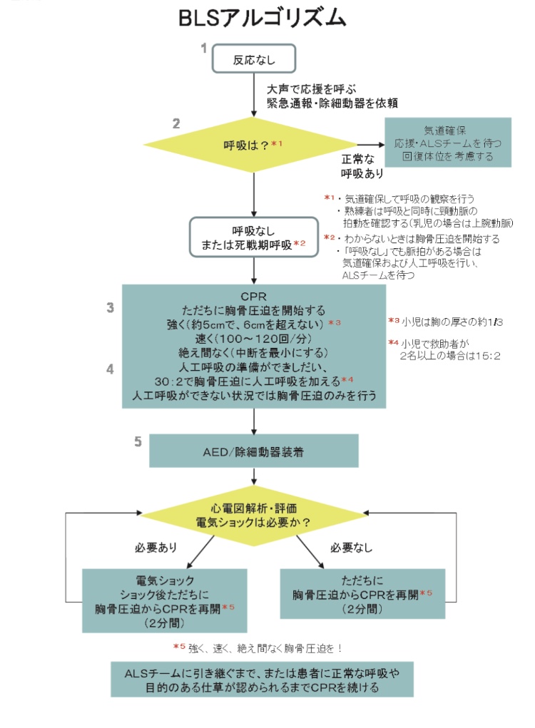 最新版 乳幼児の心肺蘇生法 心臓マッサージ 人工呼吸 雪ノート
